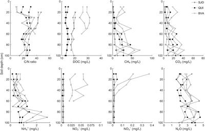 Microbial Communities and Interactions of Nitrogen Oxides With Methanogenesis in Diverse Peatlands of the Amazon Basin